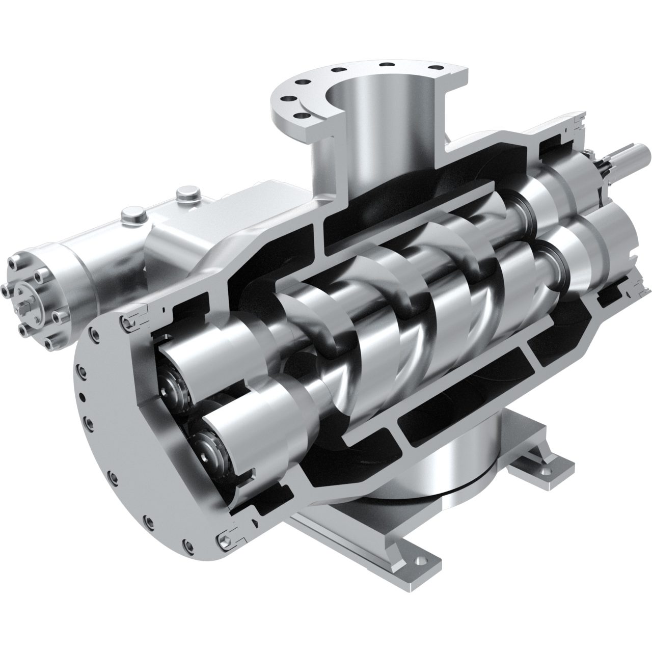 Bornemann Pumps